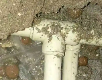 广南测漏水多少钱