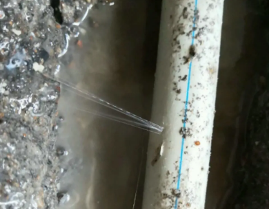 广南测漏水哪家好