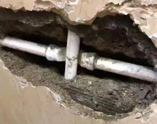 广南测漏水哪家好