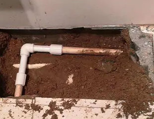 广南测漏水哪家好