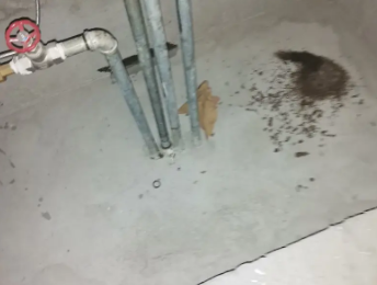 广南卫生间测漏水价格明细