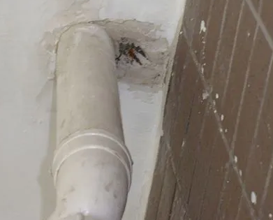 广南漏水检测哪家好